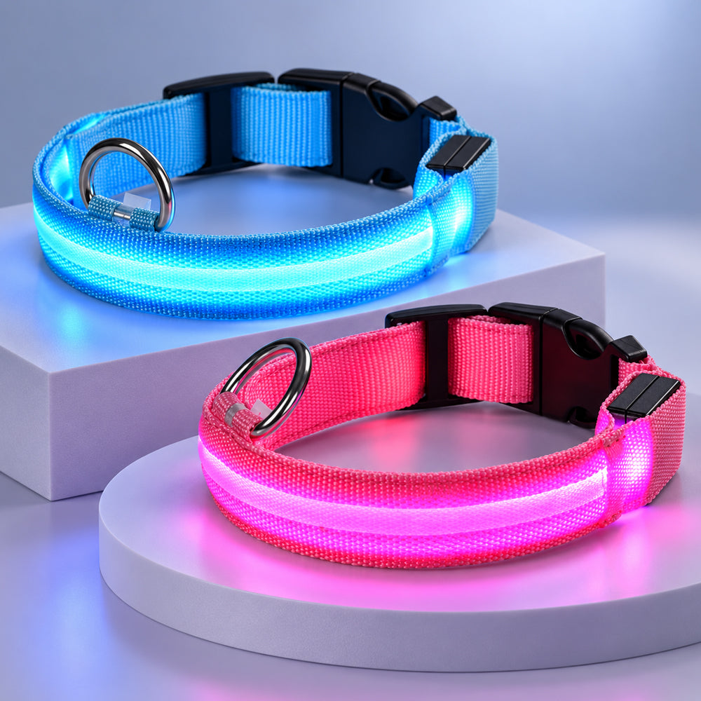 Hundehalsbånd med led-lys  – ekstra synlighed på gåturen