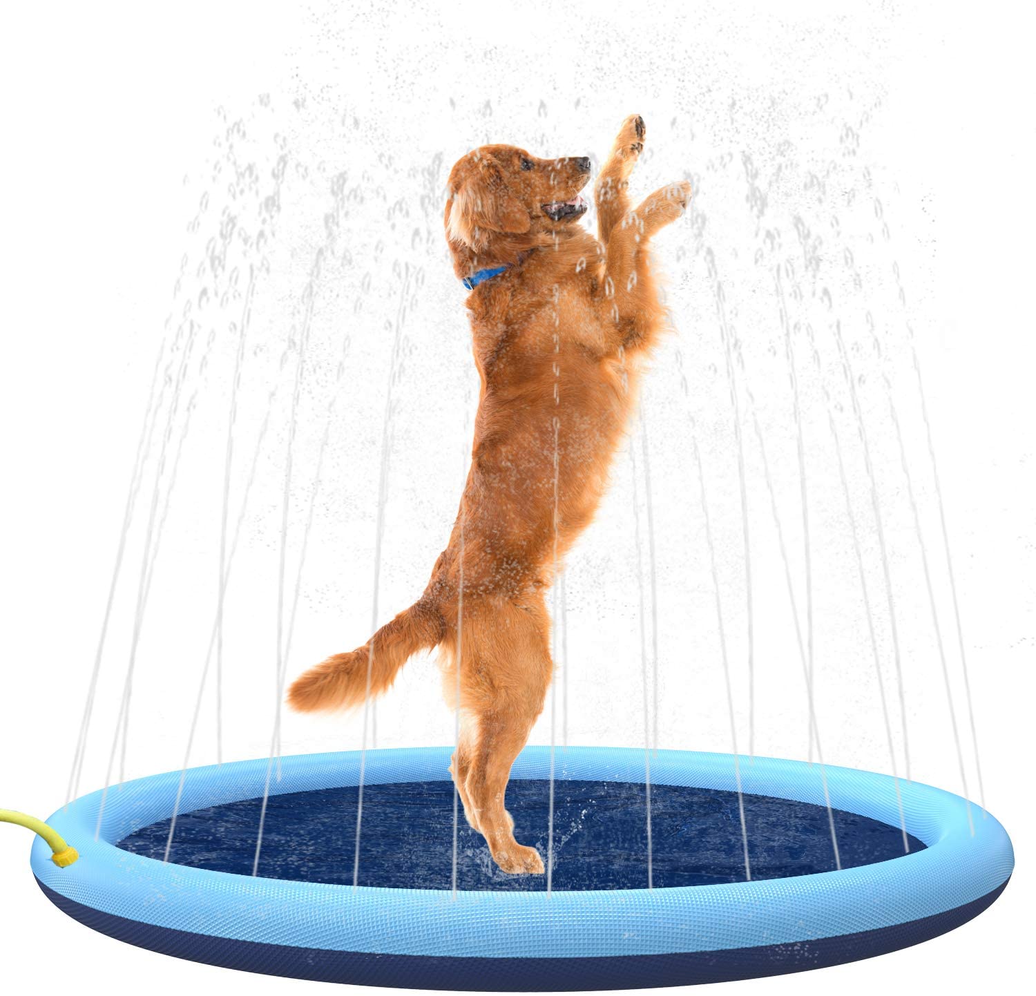 Hundepool med vandsprinkler