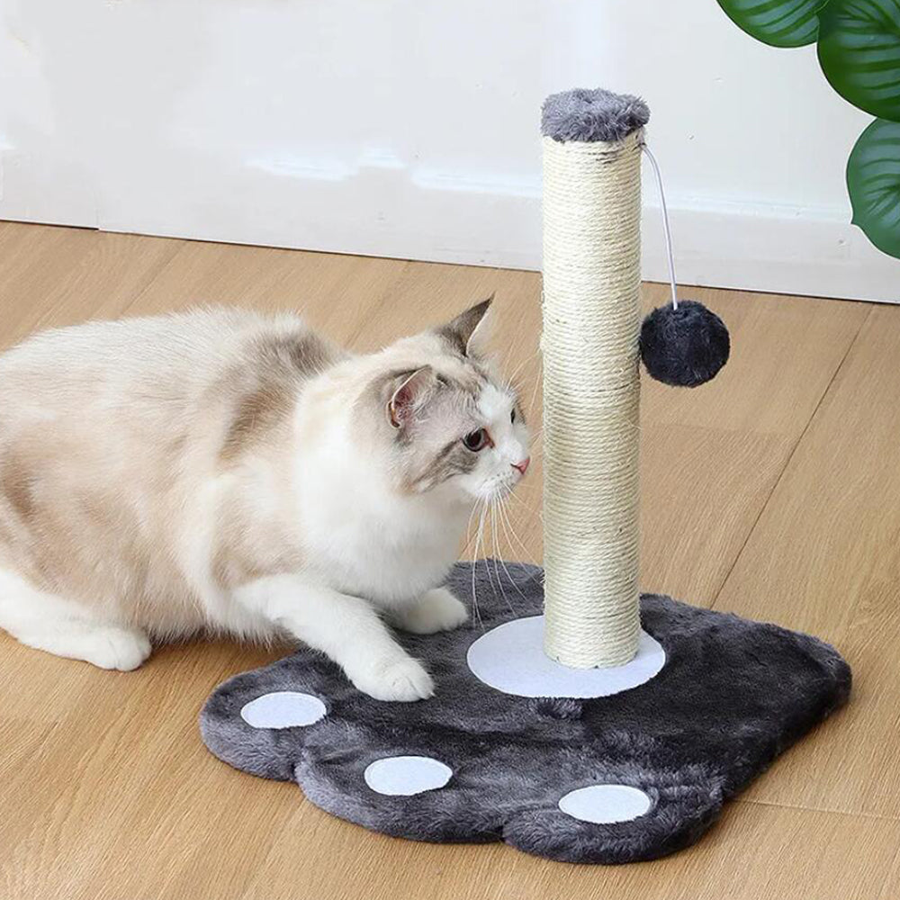 klatre- og kradsetræ til katte